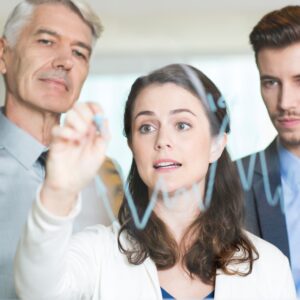 CURSO LA INTELIGENCIA EMOCIONAL Y SU TRASCENDENCIA EN LA ORGANIZACIÓN EMPRESARIAL - 50 Horas