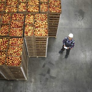 CURSO DE RECOLECCIÓN, ALMACENAMIENTO Y ENVASADO DE PRODUCTOS – 70 Horas