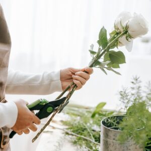 DUCTUS CURSO TRABAJOS AUXILIARES EN LA ELABORACIÓN DE COMPOSICIONES CON FLORES Y PLANTAS